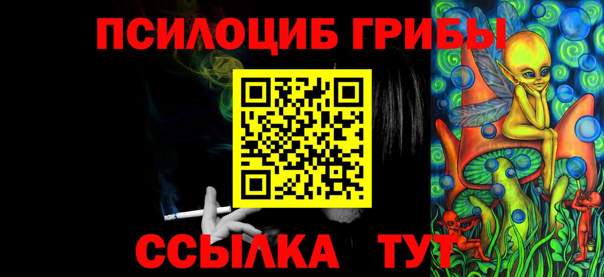 Тамбов  Псилоцибиновые грибы прущие грибы  Галлюциногенные грибы MAGIC MUSHROOMS  Вход с VPN 